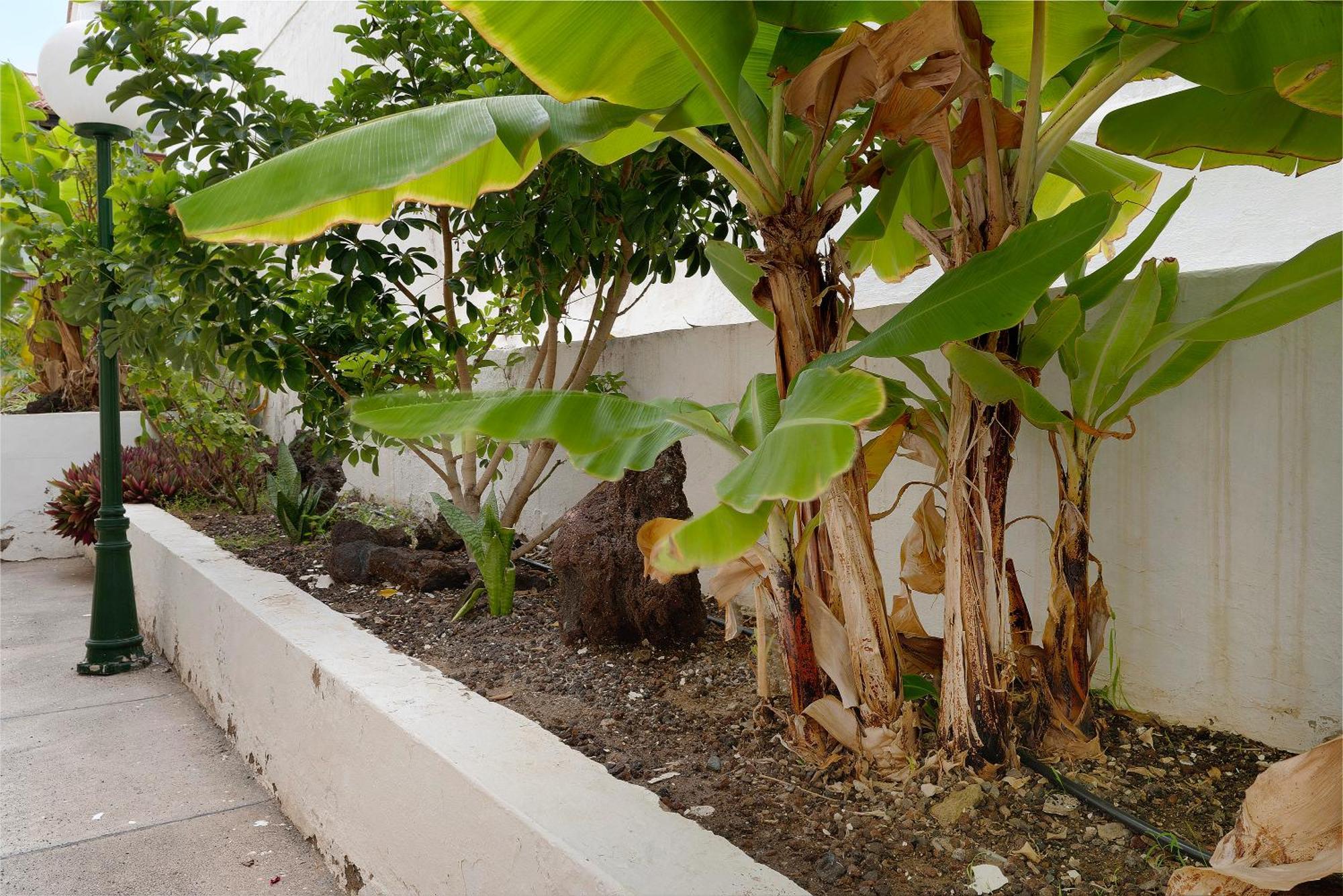 Pippa's House Apartament San Agustín